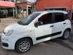 Bild des Angebotes Fiat Panda Panda/Pandina 1.2 Start