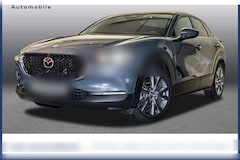 Bild des Angebotes Mazda CX-30 2.5 Aut. Exclusive-Line 360° TOTW LED HUD