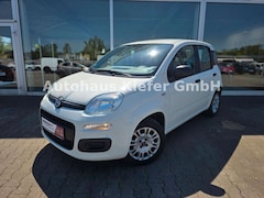 Bild des Angebotes Fiat Panda Easy