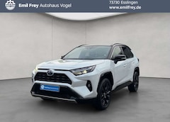 Bild des Angebotes Toyota RAV 4 2.5 4x4 Hybrid Style Selection