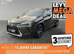 Lexus UX 250h Executive *NAVI*LEDER*CARPLAY&AA*