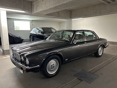 Bild des Angebotes Jaguar XJ12 Daimler