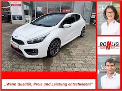 Bild des Angebotes Kia ProCeed / pro_cee'd pro Ceed 1.6 T-GDI GT-Track / Allwetterreifen