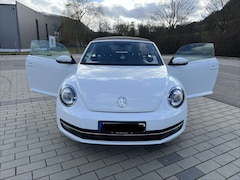 Bild des Angebotes VW Beetle Allstar BMT Cabrio