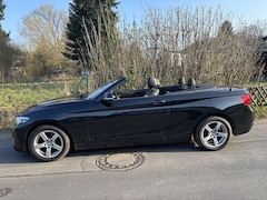 Bild des Angebotes BMW 218 218i Cabrio Aut.