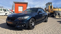 Bild des Angebotes BMW 228 228i xDrive Cabrio LED Navi Leder PDC Kamera