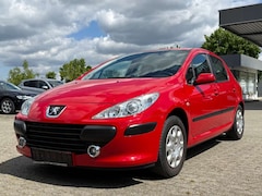 Bild des Angebotes Peugeot 307 Grand Filou Cool 1.Hand