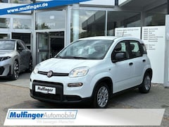 Bild des Angebotes Fiat Panda Mild-Hybrid Base Bluetooth nur 24.999km !