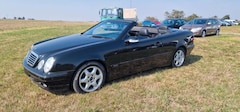 Bild des Angebotes Mercedes-Benz CLK 200 K Cabrio AVANTGARDE * Automatik*