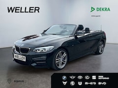 Bild des Angebotes BMW 240 xDrive Cabrio *LED*H/K*Leder*SHZ*RFK*Navi*
