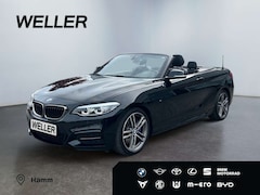 Bild des Angebotes BMW 240 xDrive Cabrio *LED*HiFi*Leder*SHZ*CAM*Navi*