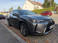 Bild des Angebotes Lexus UX 250h UX 250h Style Edition