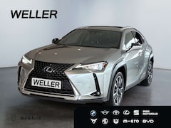 Bild des Angebotes Lexus UX 250h Style Edition *Bi-LED*ACC*CAM*SHZ*WKR*CarPlay*