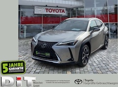 Bild des Angebotes Lexus UX 250h UX 250 h Style Edition zuverlässiger Crossover