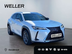 Bild des Angebotes Lexus UX 250h Style Edition *Bi-LED*ACC*CAM*SHZ*CarPlay*