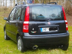 Bild des Angebotes Fiat Panda Panda 1.2 Emotion