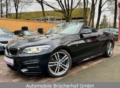 Bild des Angebotes BMW 240 Cabrio LED/NaviProf/Kamera/H&K/19"/Lnkrdhz