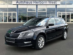 Skoda Octavia 2.0 TDI DPF Tour AHK Business Amundsen ACC Keyless