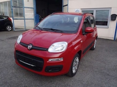 Bild des Angebotes Fiat Panda Panda 1.2 Lounge Klima
