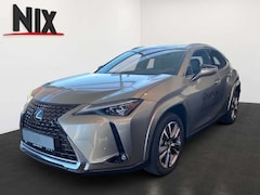 Bild des Angebotes Lexus UX 300e Entry + Luxury-Paket + HUD