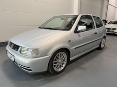 Bild des Angebotes VW Polo GTI Limited Edition "Origianl GTI" TOP Zustand