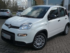 Bild des Angebotes Fiat Panda Pandina Cross*2.Hand*erst 4900km*MILD HYBRID*PDC