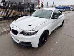 Bild des Angebotes BMW 235 M240i / M235i Racing Cup Rennfahrzeug Rennwagen #8
