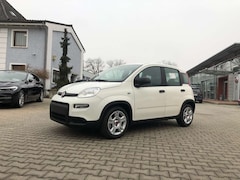 Bild des Angebotes Fiat New Panda 1.0 Hybrid *5 Sitzer Klima Komfort*