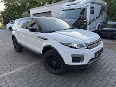 Bild des Angebotes Land Rover Range Rover Evoque Pure -Kamera-Xenon-Navi-AHK