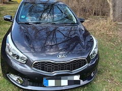 Bild des Angebotes Kia Ceed / cee'd Ceed 1.6 GDIPlatinum Edition