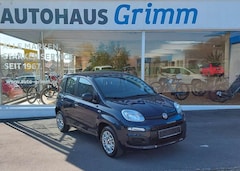 Bild des Angebotes Fiat Panda 1.2 Easy "Klima, Allwetterreifen, Radio"