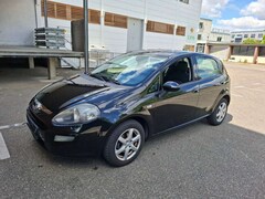 Bild des Angebotes Fiat Punto Evo MyLife*Euro-5*Klima*Tüv-07-2026*