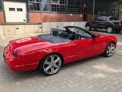 Bild des Angebotes Ford Thunderbird V8 Special Edition Unfallfrei