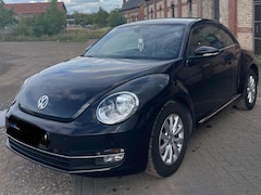 Bild des Angebotes VW Beetle Design