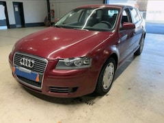 Bild des Angebotes Audi A3 Automatik 1.6 Klima 2Hand Preis inkl Neu Tüv