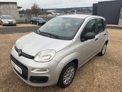 Bild des Angebotes Fiat Panda Panda 1.2 IM AUFTRAG Klima 8-fach bereift