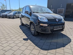 Bild des Angebotes Fiat Panda Young