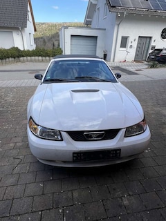 Bild des Angebotes Ford Mustang
