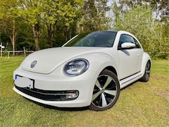 Bild des Angebotes VW Beetle CUP 1.4 TSI Blue Motion SHZ Pano 8-fach-bereift