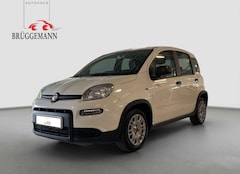Bild des Angebotes Fiat Panda 1,0 Hybrid Allwetterreifen/Klima/DAB
