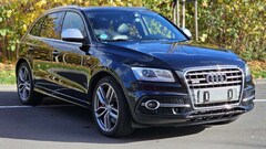 Bild des Angebotes Audi SQ5 3.0 TDI quattro  Panoramadach STANDHEIZUNG