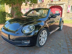 VW New Beetle 1.4 Excl. DSG 160PS Kette+Wasserp. neu