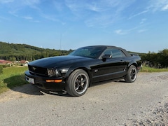 Bild des Angebotes Ford Mustang Ford Mustang GT Cabrio V8 4,6l Automatik