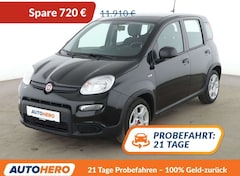 Bild des Angebotes Fiat Panda 1.0 Mild-Hybrid*KLIMA*DAB*GARANTIE*