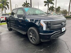 Ford F 150 Lightning Flash grosse Batterie in Hamburg