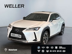 Bild des Angebotes Lexus UX 250h Style Edition *Bi-LED*ACC*CAM*SHZ*CarPlay*