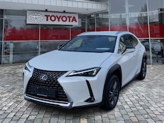 Bild des Angebotes Lexus UX 250h UX 250 h Style Edition 8fach Bereift*wenig KM