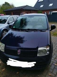 Bild des Angebotes Fiat Panda Panda 1.2 Dynamic
