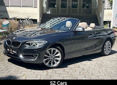Bild des Angebotes BMW 228 i Cabrio Luxury Line LEDER NAVI SPUR PDC