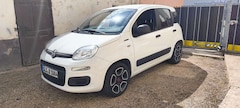 Bild des Angebotes Fiat Panda 1.2